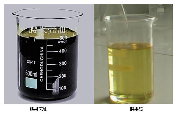腰果壳油.jpg